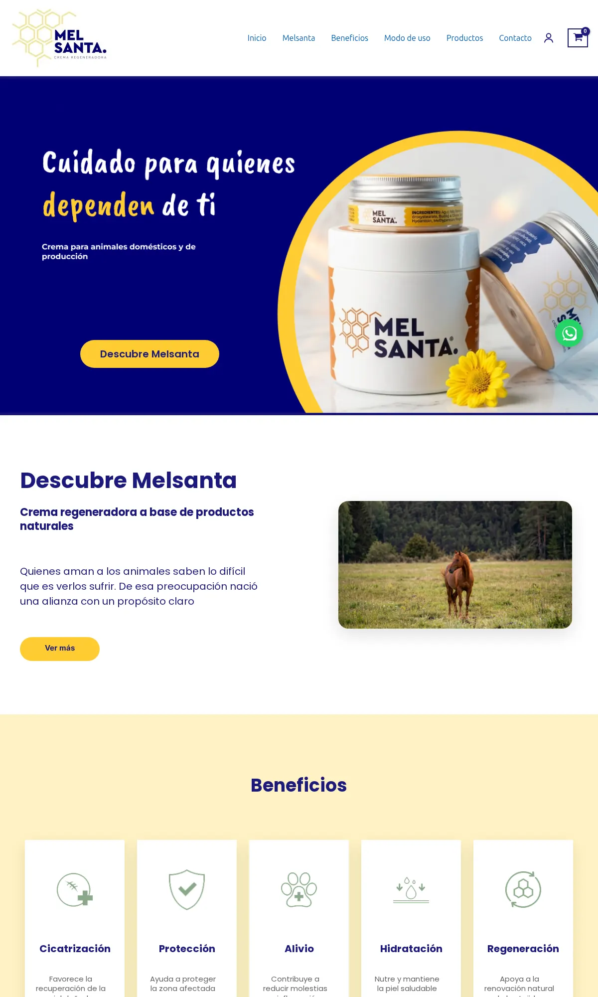 Sitio web de Melsanta